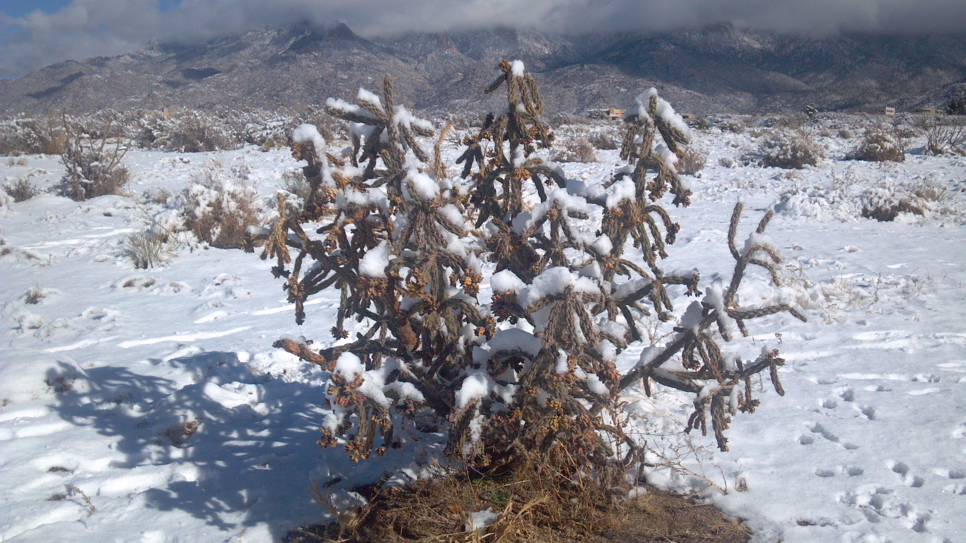 2013-12-22 10-59-20_487